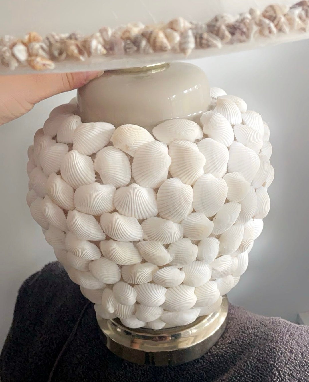 Shell Beach Lamp - Etsy