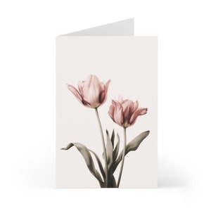 Pink tulip Cards (7 pcs)