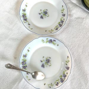Könnte beinhalten: Zwei weiße Porzellanteller mit gewelltem Rand und einem floralen Design mit lila Veilchen und grünen Blättern. Auf einem Teller liegt ein silberner Löffel. Die Teller haben einen hellblauen Rand.
