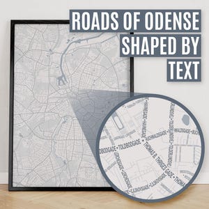 Odense, Denmark | City Map Print Where Roads Are Shaped By Their Street Names.