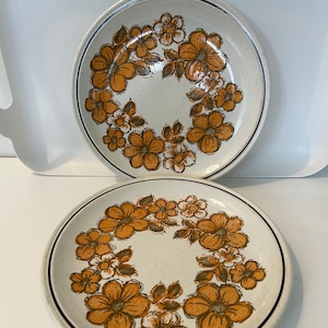 Myott Summerdale Dinner Plates, Set of 2, Orange Flowers, Beige Speckle, Made in England, Vintage Dinner Plates, 1970s Dinnerware