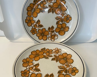 Myott Summerdale Dinner Plates, Set of 2, Orange Flowers, Beige Speckle, Made in England, Vintage Dinner Plates, 1970s Dinnerware