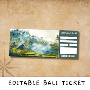 Printable Bali Ticket Template,Bali Surprise Gift Ticket,Printable Boarding Pass,Editable Plane Ticket, Trip Reveal Ticket,instant Download