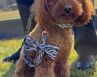 Conjunto para perro estilo cebra, arnés, collar, correa, pajarita, atuendo a juego para mascotas, regalo para perros, accesorios para perros hechos a mano
