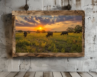 Cattle Grazing at Sunset in Texas