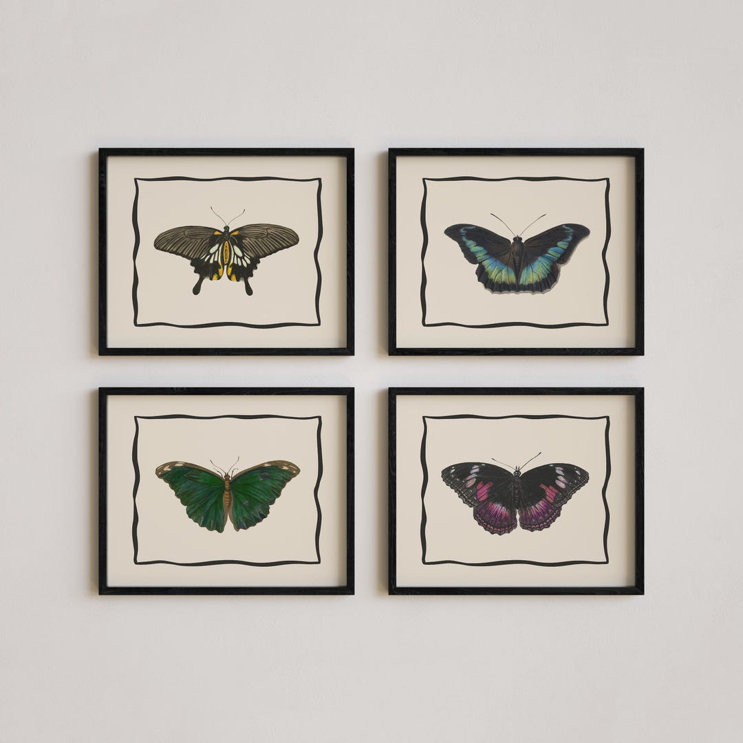 Butterfly Print Set Wall Art Vintage Whimsical Butterflies Art for ...