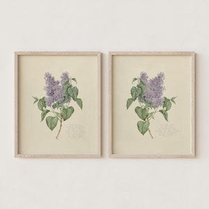 Floral Scripture Print Set Vintage Lilac Watercolor Wall Art Psalm 27 Christian Art for Bedroom Cottage Wall Decor Bible Verse Flower Poster