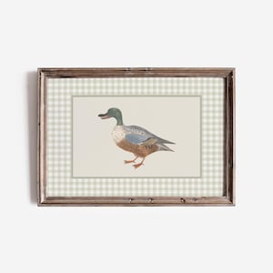 Vintage Duck Print for Nursery or Boys Room. Watercolor Duck Print with Neutral Colors and Muted Sage Gingham Pattern. Boys Room Wall Decor.