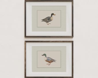 Vintage Duck Watercolor Print Set for Boys Room Modern Farmhouse Decor for Boy Nursery Classic Animal Duck Cottage Art for Gingham Accents