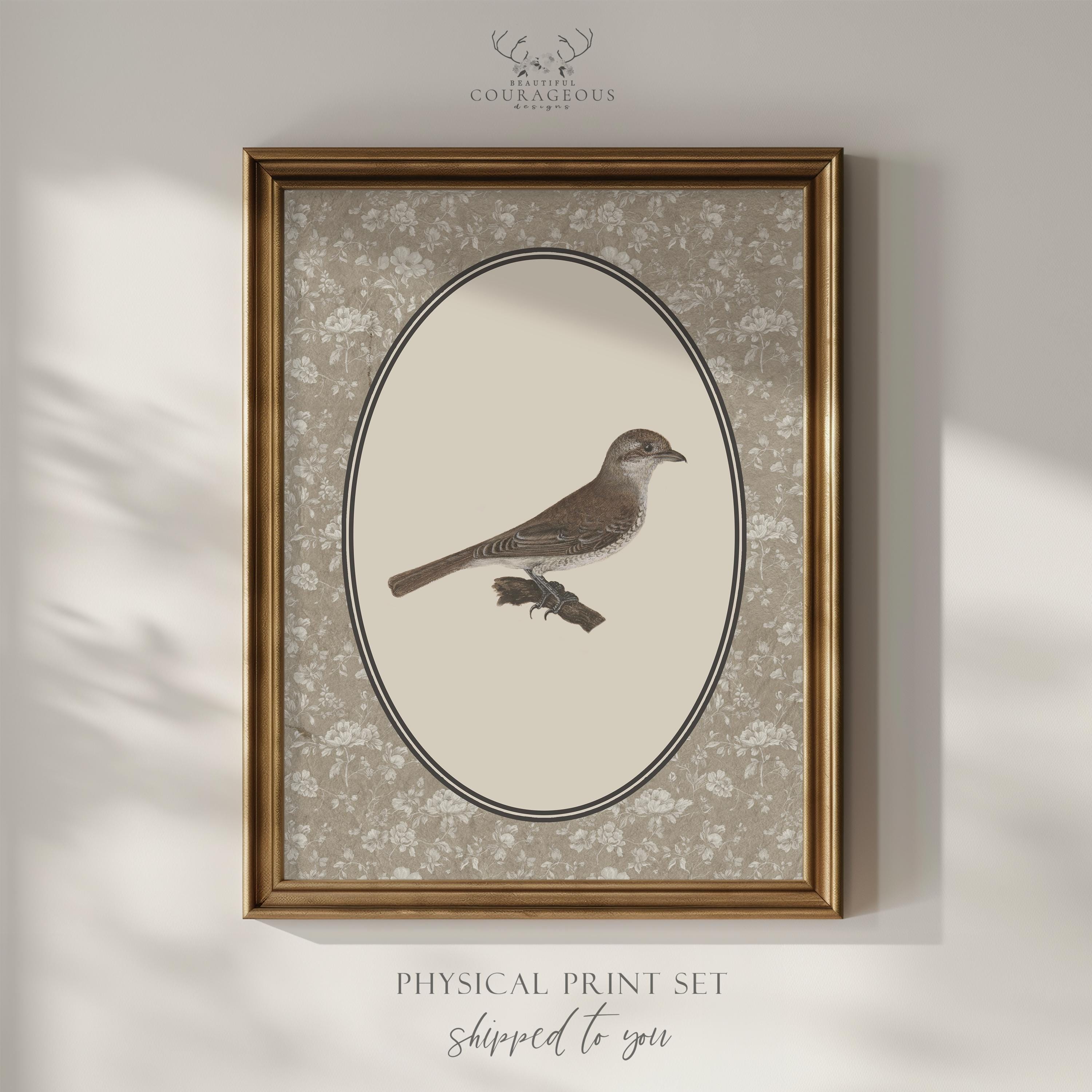 Cottagecore Vintage Bird Wall Art Print Set. Mailed to You. Physical ...
