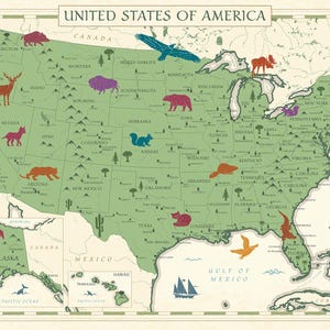 Kids Map of USA Printable - Pastel Green Digital Map, Animals of the United States, America Map, USA Map for nursery kids room Boho Wall Art