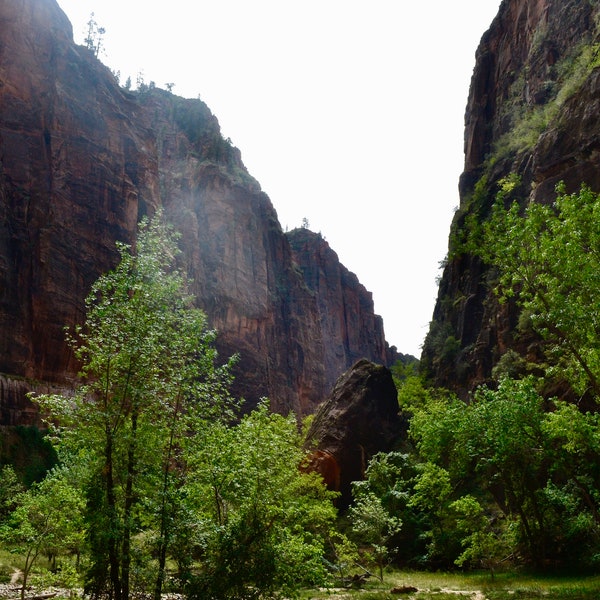 Zion National Park Photography Print 1