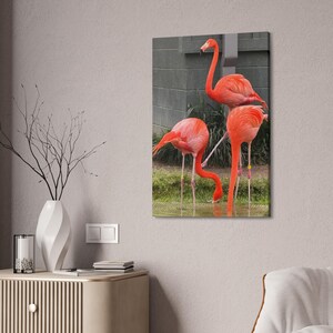 Flamingo Wall Art Photography Print