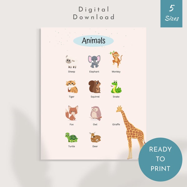 Animals Learning Poster