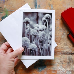 Carte de voeux photo faite main, 5 x 7 pouces, photographie florale de fleurs de ciboulette à encadrer par Veronica, carte de correspondance vierge pour toutes les occasions