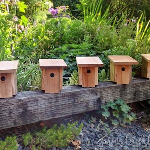Handgefertigtes Vogelhaus aus Zedernholz: Nistkasten für Singvögel