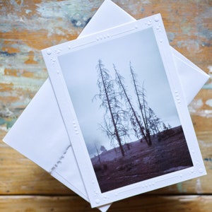 Cartão de felicitações fotográfico Yellowstone feito à mão 5x7 fotografia de paisagem emoldurável por Veronica conjunto de cartões de nota em branco para qualquer ocasião