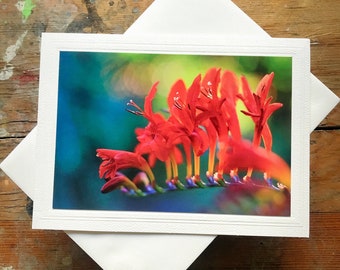 Photo Greeting Card Handmade 5x7 Frameable Crocosmia Floral Photography By Veronica Blank Note Card For Any Occasion