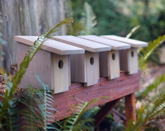 Songbird Nesting Box Beautifully Handcrafted Bird House For Wild Birds From Pacific Northwest Cedar