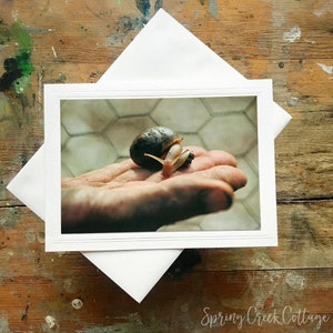 Carte de voeux photo faite main, 5 x 7 pouces, escargot de jardin à encadrer, photographie de la nature par Veronica, carte de correspondance vierge pour toutes les occasions