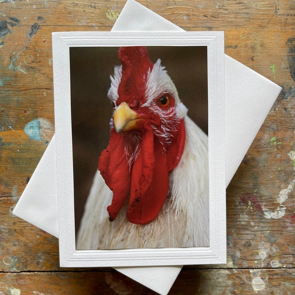 Photo Greeting Card Handmade 5x7 Frameable Delaware Rooster Poultry Photography By Veronica Blank Note Card For Any Occasion