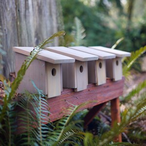 Handgefertigtes Vogelhaus aus Zedernholz : Singvogel Nistkasten, Holz aus dem pazifischen Nordwesten