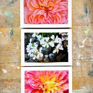 Wenskaart handgemaakte 5 x 7 inlijstbare dahliabloem fotografie elke gelegenheid notitiekaart bloemen stationaire set