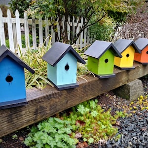 Handmade Cedar Birdhouse: Colorful Songbird Nesting Box