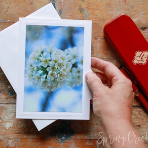 Tarjeta de felicitación con foto hecha a mano de 5 x 7 enmarcable Fotografía floral de cerezo en flor por Verónica Tarjeta de nota en blanco para cualquier ocasión
