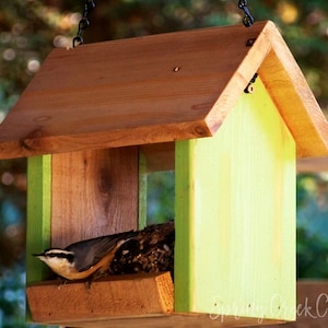 Rustic Cedar Bird Feeder Songbird Feeder Beautifully Handcrafted For Wild Birds From Pacific Northwest Cedar