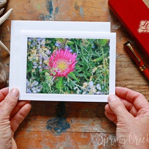Carte de voeux photo faite à la main de 5 x 7 pouces à encadrer, plante de glace, fleurs sauvages, photographie florale par Veronica, carte de correspondance vierge pour toutes les occasions