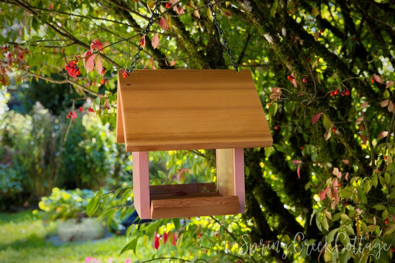 May include: A wooden bird feeder with a pink trim hangs from a tree branch. The feeder has a sloped roof and a platform for birds to perch on.