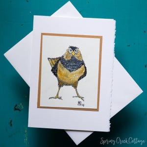 Cartão de saudação de pássaro aquarela original 5x7 cartão em branco aquarela para todas as ocasiões pintado à mão emoldurado pássaro canoro pardal presente estacionário