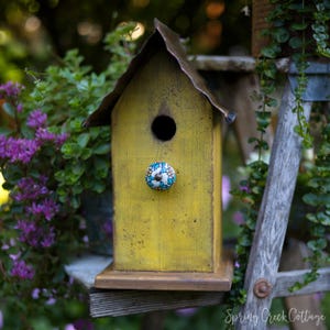 Hand-Painted Rustic Bird House: Pacific Northwest Timber Porch Decor
