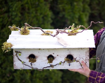 Casita rústica para pájaros: decoración artesanal de estilo granja, madera del noroeste del Pacífico.