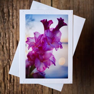 Carte de voeux photo faite main, 5 x 7 pouces, photographie florale de glaïeuls à encadrer par Veronica, carte de correspondance vierge pour toutes les occasions