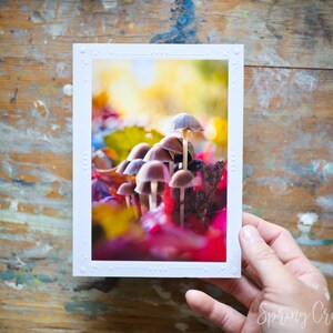 Carte de voeux photo faite main, 5 x 7 pouces, photographie de la nature, champignons d'automne, par Veronica, carte de correspondance vierge, stationnaire pour toutes les occasions