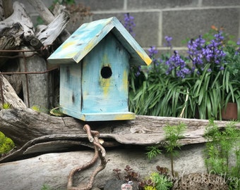 Songbird Nesting Box Beautifully Handcrafted Bird House For Wild Birds From Pacific Northwest Cedar