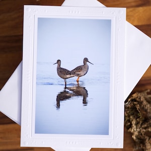 May include: A white greeting card featuring a photograph of two speckled shorebirds standing in shallow water, facing away from each other with their reflections visible below. The card has a textured border and the text Spring Creek Cottage.