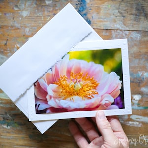 Grußkarten Handmade 5x7 Frameable Pfingstrose Blumenfotografie Von Veronica Blank Note Card Für Jeden Anlass
