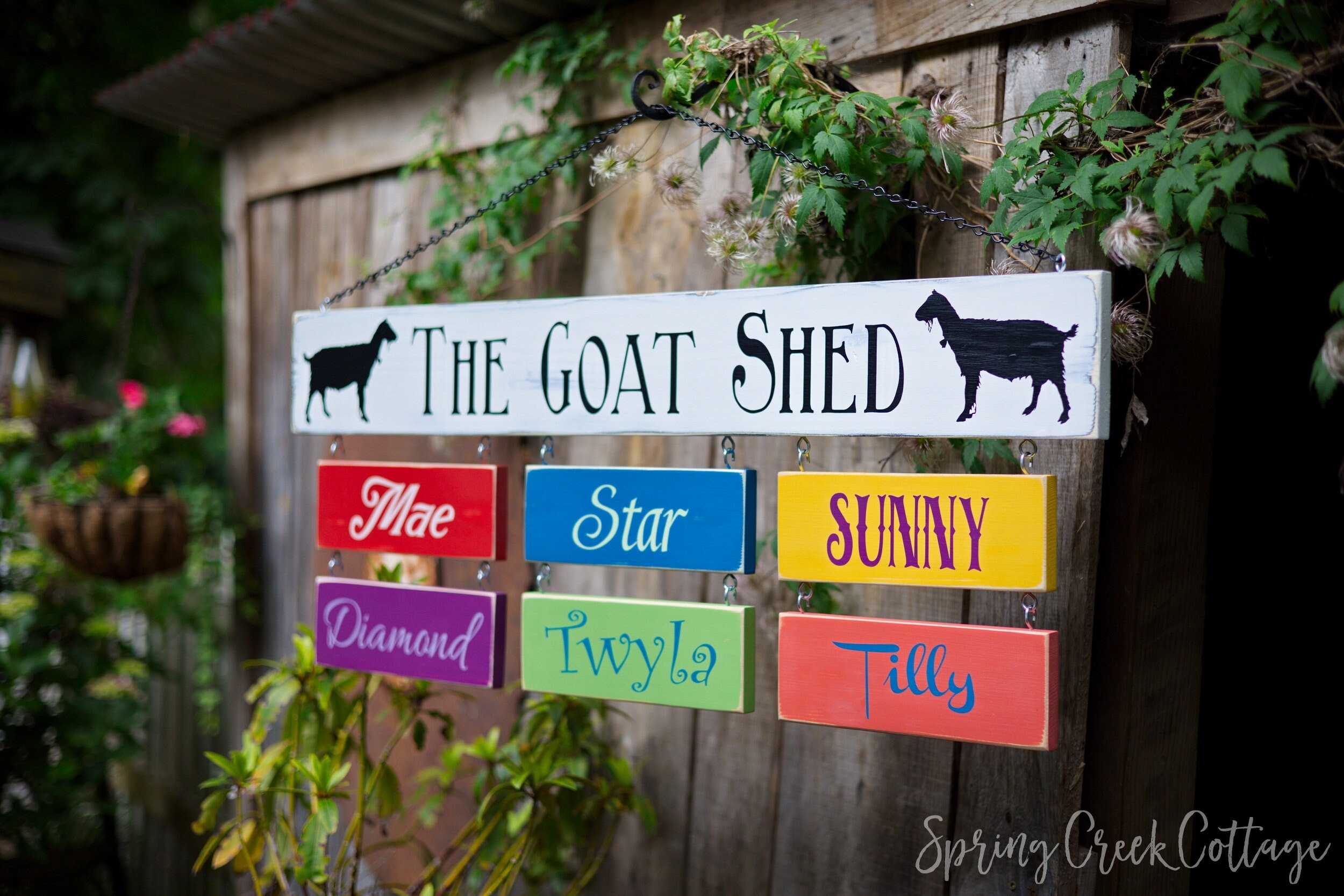 Personalized Goat Sign Set Custom For Your Barn And Farmstead Beautifully Hand-painted And Handcrafted On Rustic Wood Planks