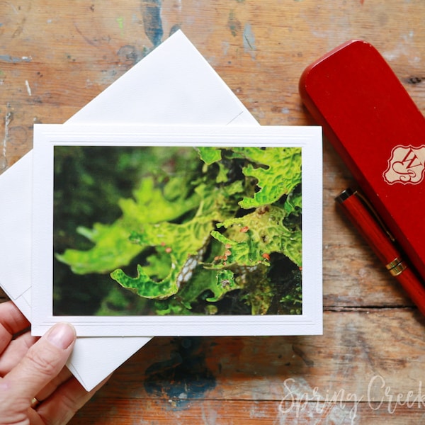 Photo Greeting Card Handmade 5x7 Frameable Lichens Nature Photography By Veronica Blank Note Card For Any Occasion