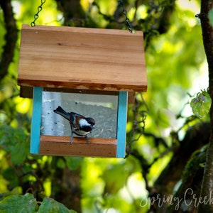 May include: A wooden bird feeder with a small bird perched inside. The feeder has a brown roof and a clear front, with teal-colored accents. The bird has black, white, and brown feathers. The feeder is hanging from a chain in a tree.