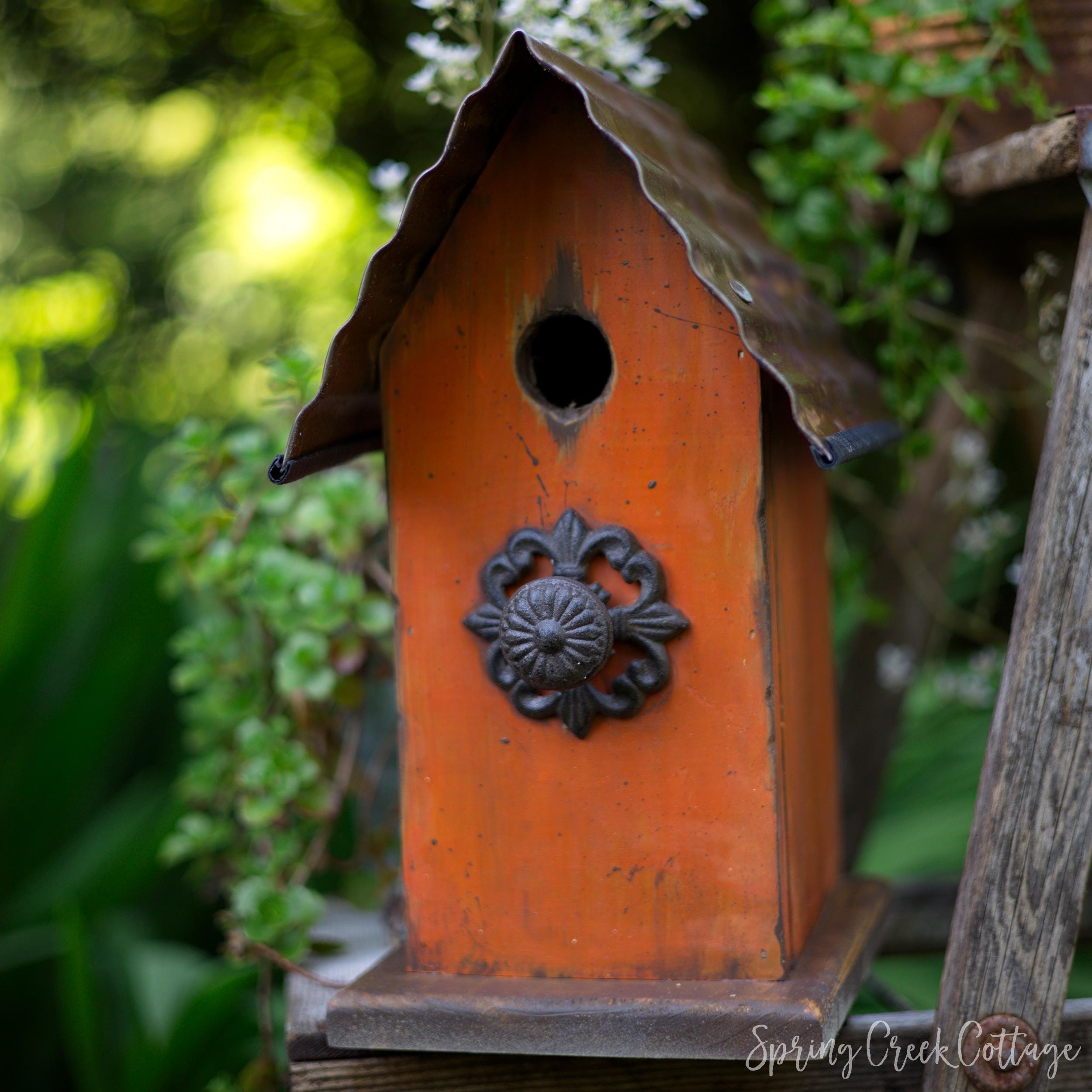 Hand-painted Rustic Bird House: Pacific Northwest Timber Porch Decor - Etsy
