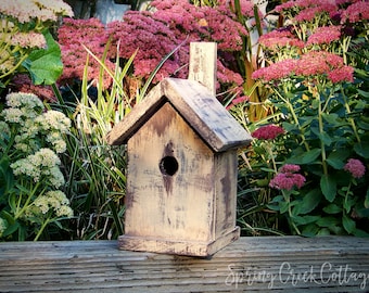 Songbird Nesting Box Beautifully Handcrafted Bird House For Wild Birds From Pacific Northwest Cedar