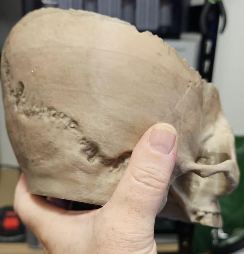May include: A tan-colored, 3D-printed human skull model. The skull is held in a hand, showcasing the side profile with detailed features like sutures and eye sockets. The model has a rough texture and appears to be made of plastic.