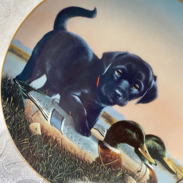 1992 Phillip Crowe Dog Duck Collector Plate The Sportsmen Finder's