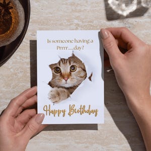 Humorous Cat Birthday Card Printable - Instant Digital Download - DIY Envelope Template - Perfect for Cat Lovers - Funny Pun Card