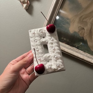 Fake Cake Light Switch Cover
