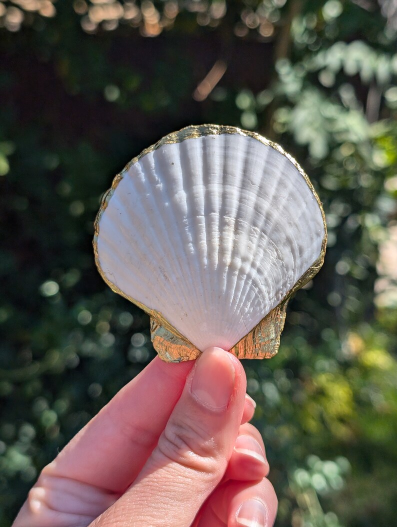Wildflower Jewelry Dish Pressed Flower Trinket Tray Coastal Decor